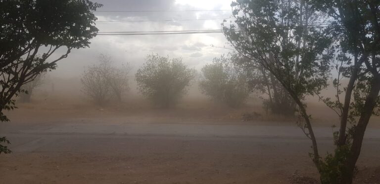 Alerta Protección Civil por baja visibilidad en tramos carreteros a causa del viento