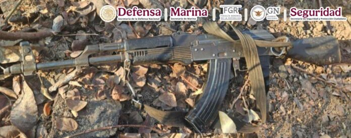 WhatsApp Image 2025-04-25 at 8.10.37 AM