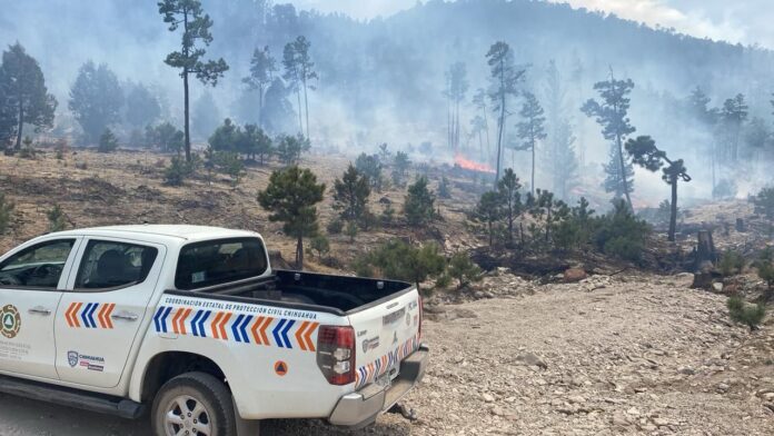 WhatsApp Image 2025-04-27 at 4.05.30 PM