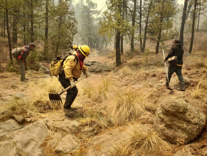 WhatsApp Image 2025-05-11 at 12.44.31 PM