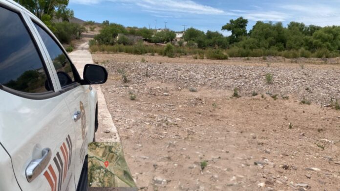 WhatsApp Image 2025-05-14 at 11.57.12 AM