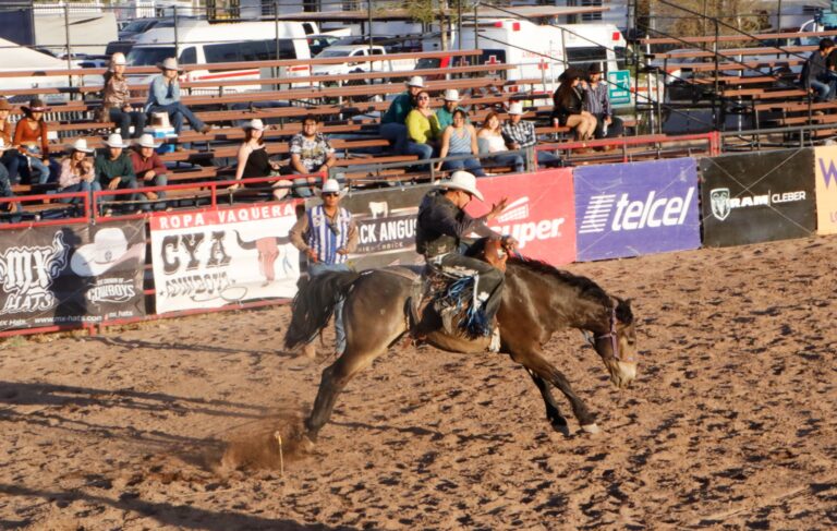 Participan jinetes chihuahuenses en el Mini Bull Series México previo a Olimpiada Nacional