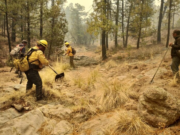 WhatsApp Image 2025-06-04 at 11.48.19 AM