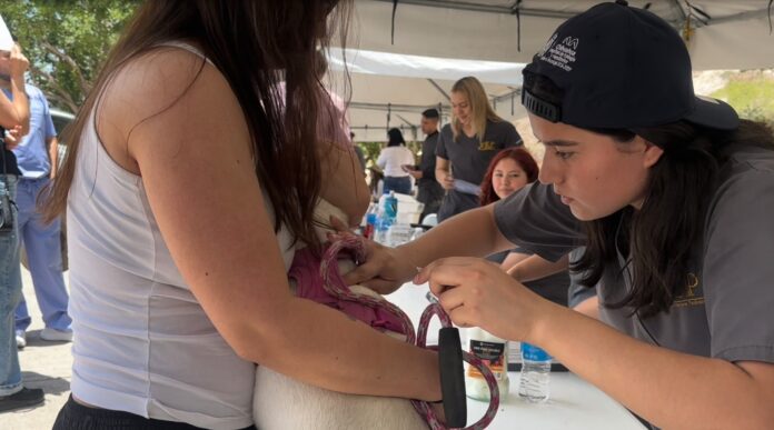 WhatsApp Image 2025-06-10 at 11.12.31 AM