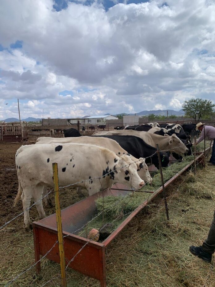 WhatsApp Image 2025-06-12 at 3.57.35 PM