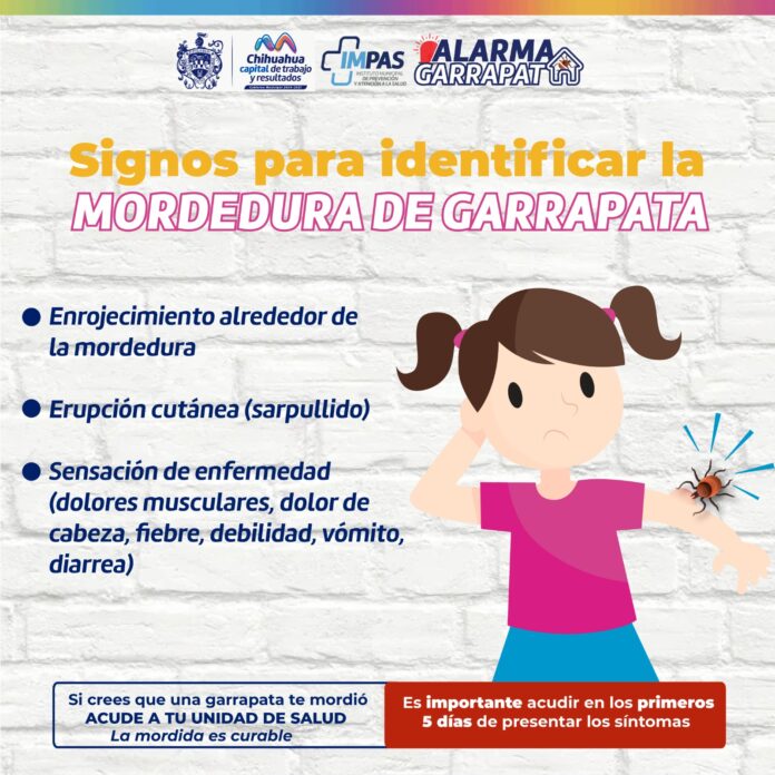 WhatsApp Image 2025-06-19 at 1.57.43 PM