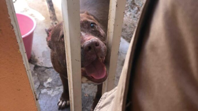 WhatsApp Image 2025-06-19 at 8.50.37 PM