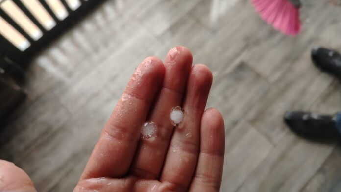 WhatsApp Image 2025-06-29 at 9.07.09 PM