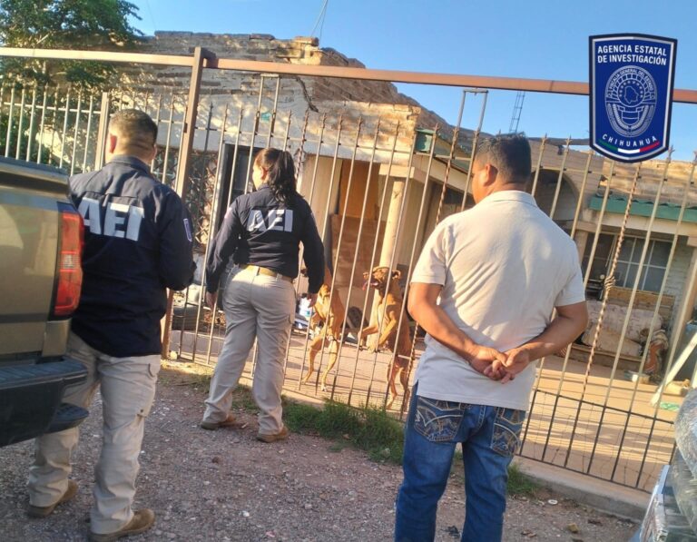 Interviene AEI en apoyo a Ecología para atender denuncia de maltrato animal en Nuevo Casas Grandes