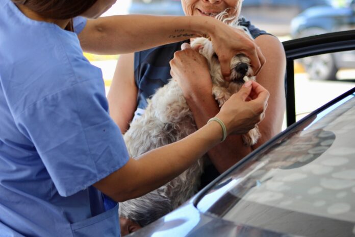 WhatsApp Image 2025-07-21 at 7.53.24 AM(2)