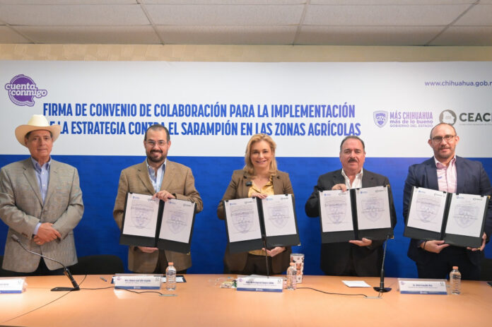 WhatsApp Image 2025-07-31 at 1.19.21 PM