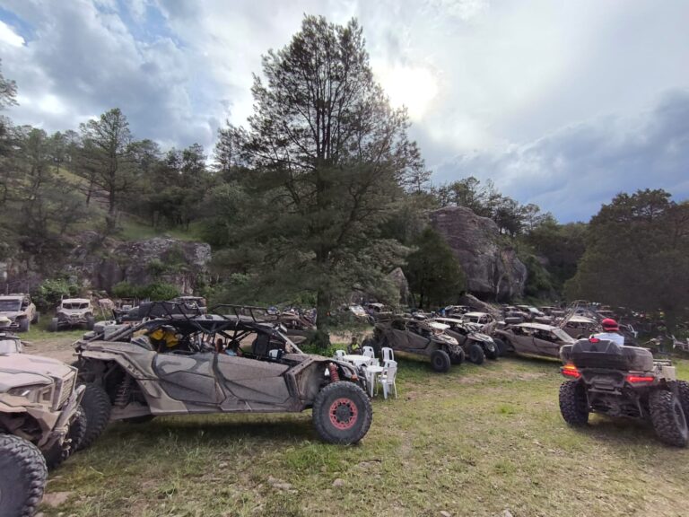 Realizarán Ruta de la Manzana con Causa en Guerrero y Bocoyna