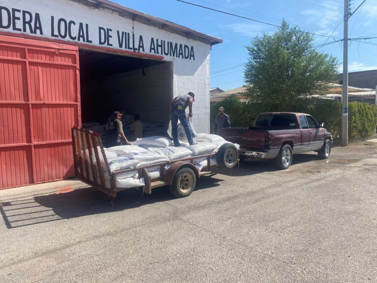 Entregan en Ahumada 60 toneladas de maíz rolado a productores pecuarios afectados por la sequía