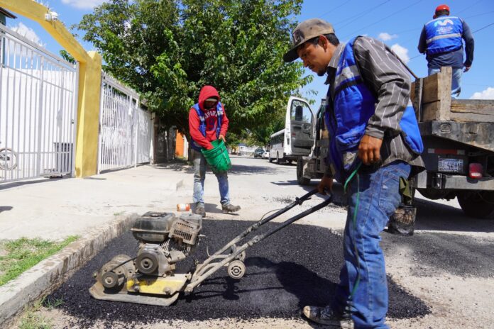 WhatsApp Image 2025-08-25 at 2.43.31 PM