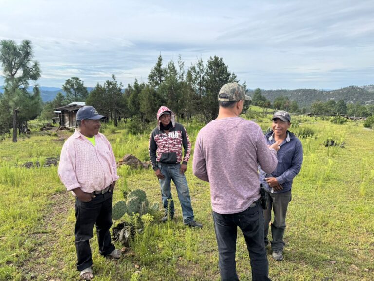 Realiza Ministerio Público itinerante diligencias en comunidades intrincadas de la sierra