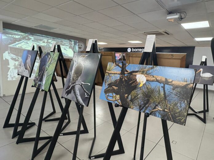 Imagen de WhatsApp 2025-09-22 a las 13.32.12_124b7eee