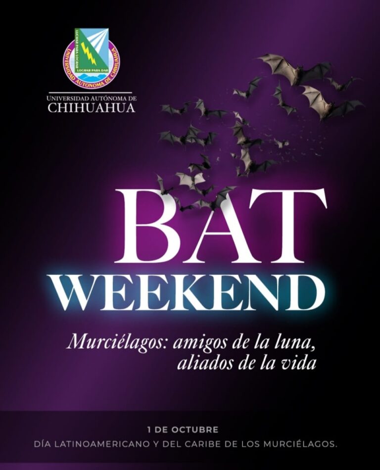 La UACH invita a celebrar la importancia de los murciélagos con el “Bat Weekend”