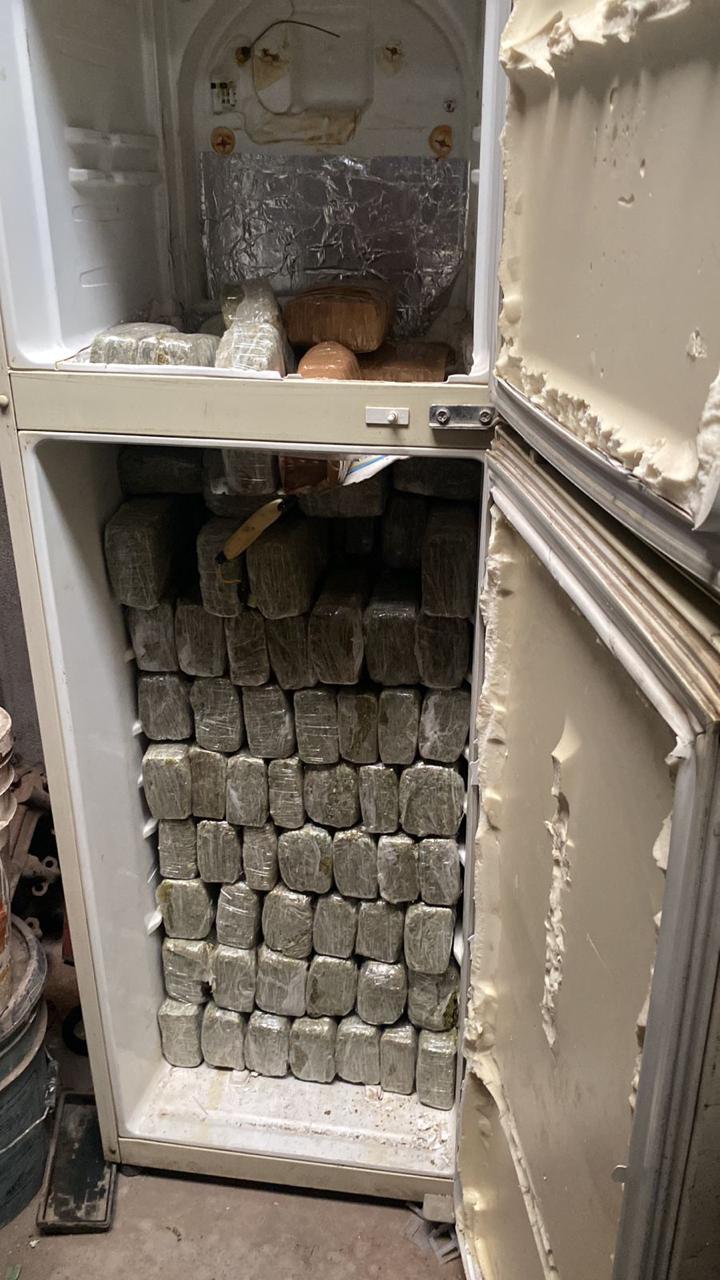 Asegura Fiscalía en operativo conjunto cerca de 300 kilos de marihuana en un domicilio de Chihuahua