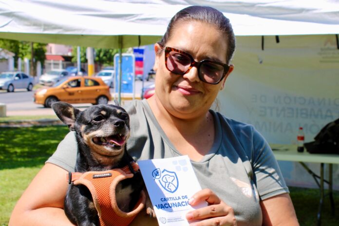 WhatsApp Image 2025-09-16 at 10.33.54 AM