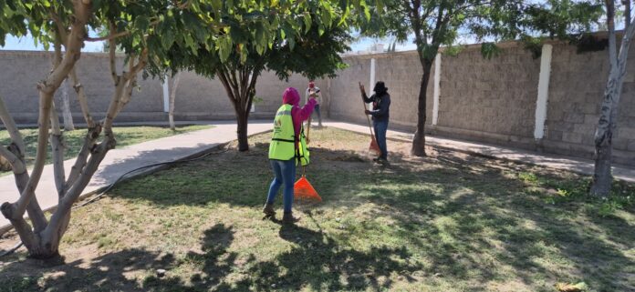 Imagen de WhatsApp 2025-10-08 a las 12.31.20_a0614f74