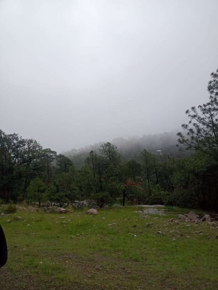 WhatsApp Image 2025-10-28 at 10.39.47 AM