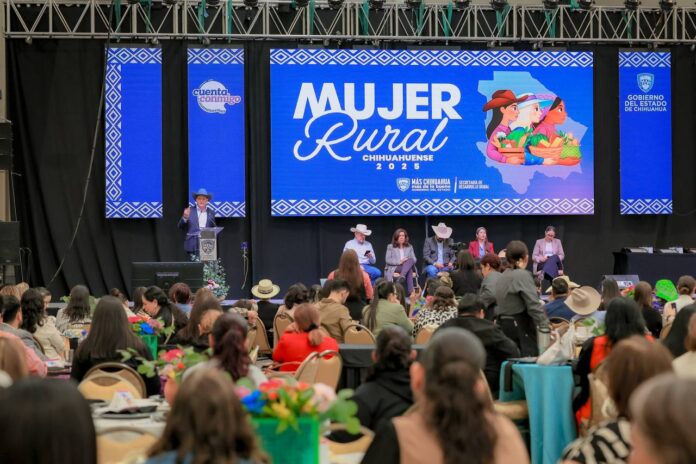 WhatsApp Image 2025-10-30 at 3.53.19 PM