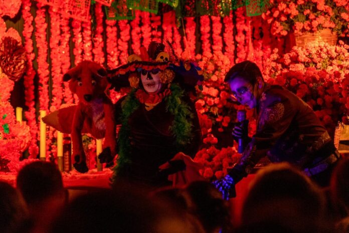 WhatsApp Image 2025-11-01 at 10.36.23 AM