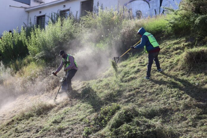 WhatsApp Image 2025-11-03 at 12.06.28 PM