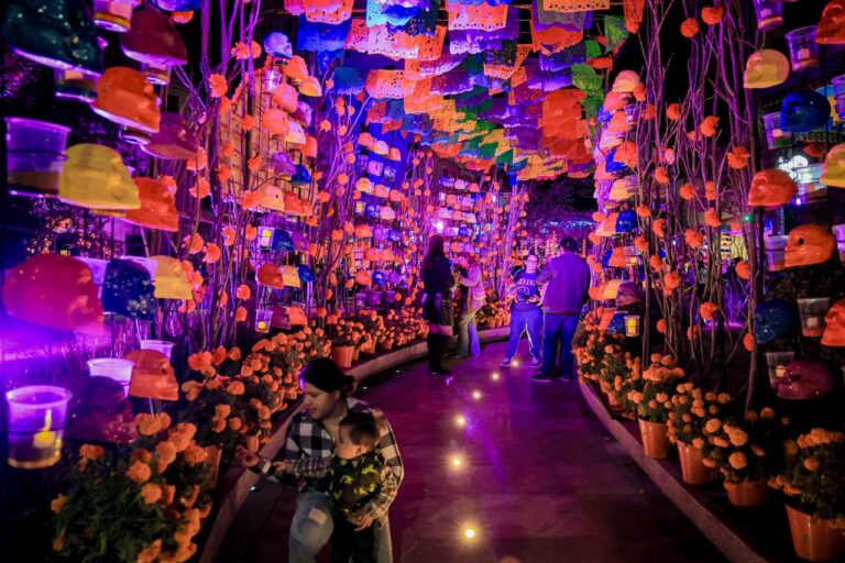 Premia alcalde Marco Bonilla a escuelas ganadoras del concurso de altares de muerto