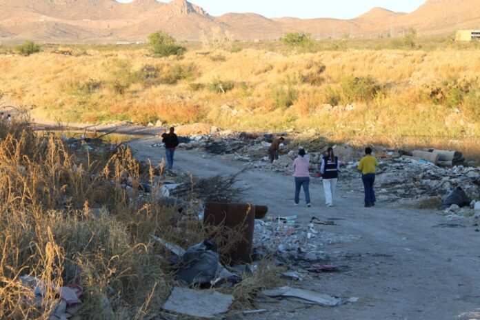 WhatsApp Image 2025-11-14 at 11.04.52 AM