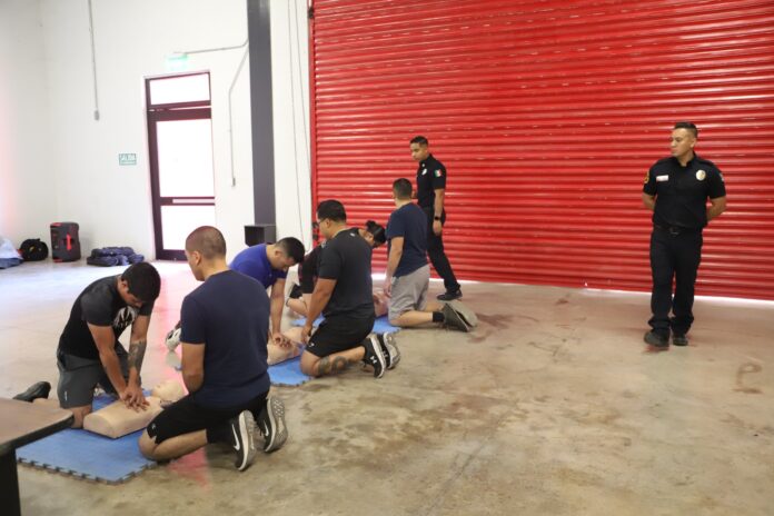 WhatsApp Image 2025-11-16 at 10.07.41 AM