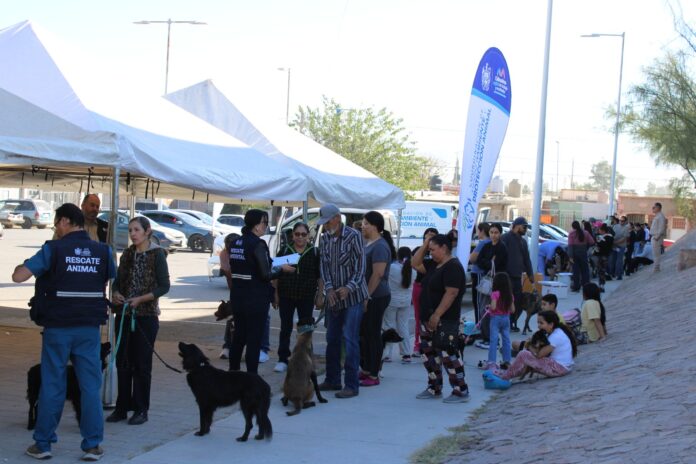 WhatsApp Image 2025-11-16 at 10.48.20 AM