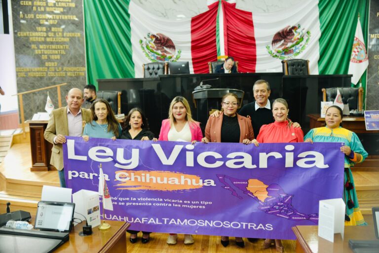 Diputada Irlanda presenta Ley Vicaria