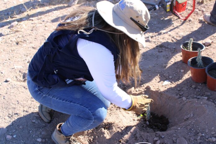 WhatsApp Image 2025-12-29 at 2.45.21 PM