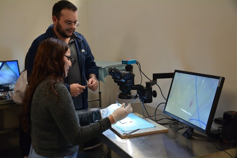 Inteligencia artificial en la medicina: herramienta de apoyo, no sustituto del médico.