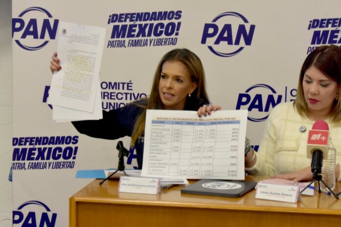 WhatsApp Image 2026-01-13 at 4.07.16 PM(1)