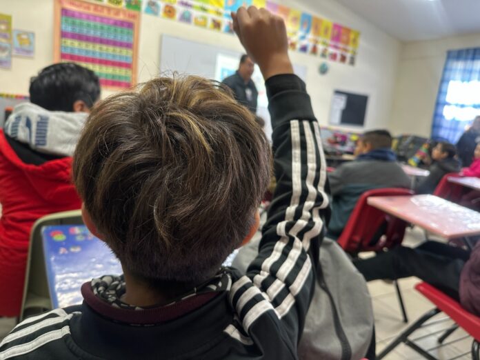 WhatsApp Image 2026-01-15 at 1.09.27 PM