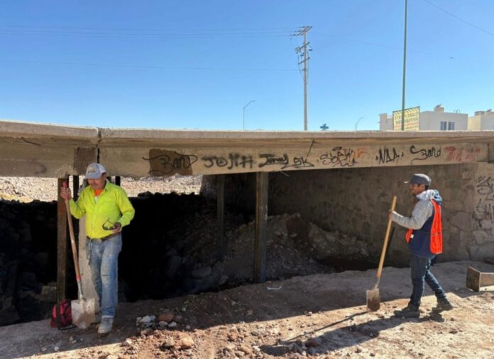 WhatsApp Image 2026-01-16 at 3.40.56 PM