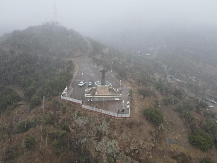 WhatsApp Image 2026-01-22 at 2.26.16 PM