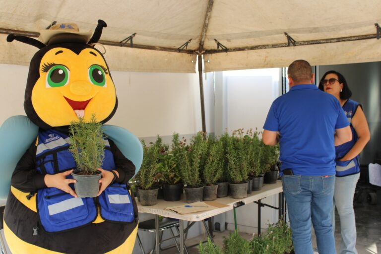 Emite Municipio recomendaciones para reducir las emisiones de dióxido de carbono