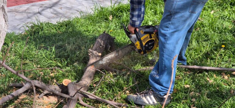 Recuerda Municipio que queda un mes de la temporada de poda
