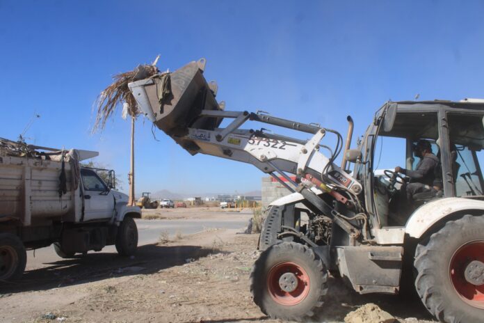 WhatsApp Image 2026-01-29 at 09.44.31