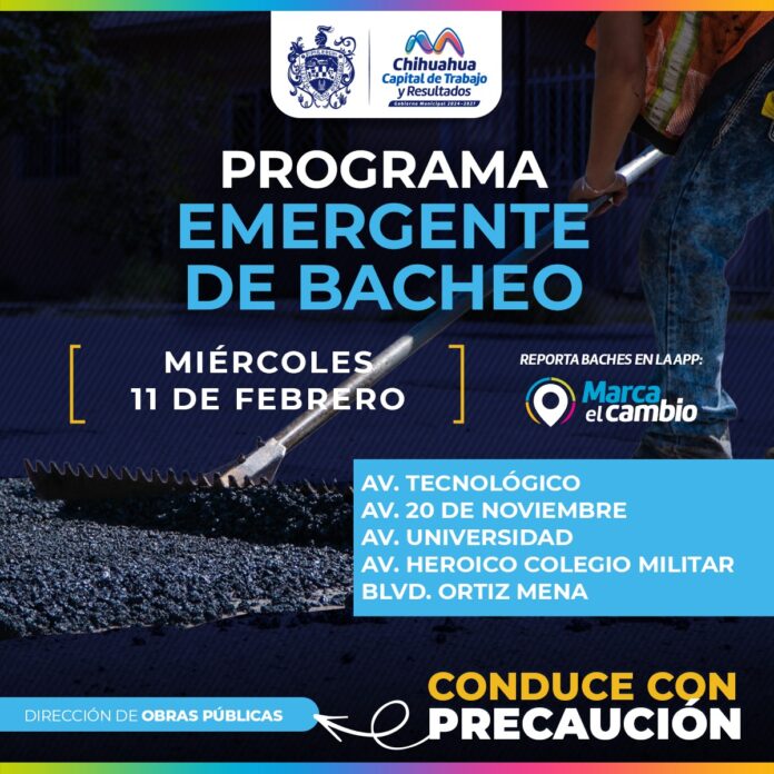 WhatsApp Image 2026-02-11 at 5.48.27 AM