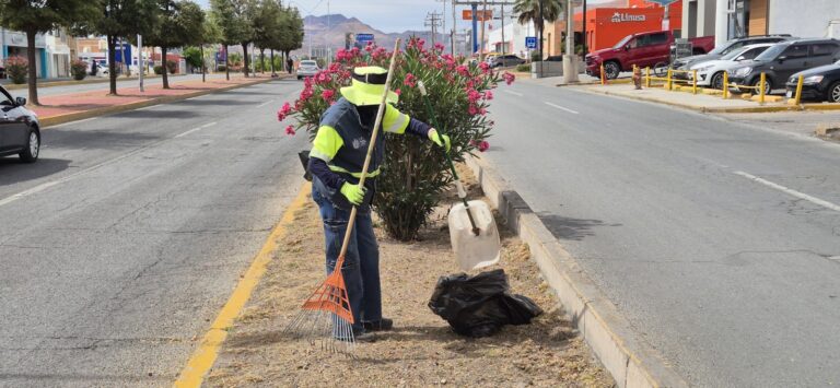 Retiró Municipio más de 73 toneladas de basura y maleza de vialidades durante mayo