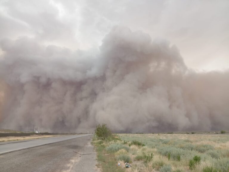 Mantiene Protección Civil alerta por lluvias y posibles masas de polvo en la entidad